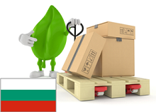 PALETA do 80 X 60 cm. ST BUŁGARIA