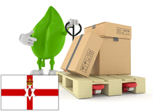 PALETA do 80 X 60 cm. ST IRLANDIA PÓŁNOCNA