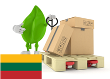 PALETA do 80 X 60 cm. ST LITWA