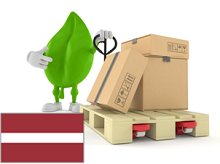 PALETA do 80 X 60 cm. ST ŁOTWA