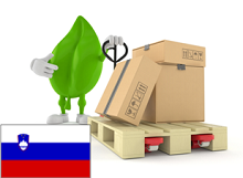 PALETA do 80 X 60 cm. ST SŁOWENIA