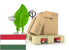 PALETA do 80 X 60 cm. ST WĘGRY