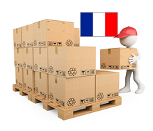 PALETA NIETYPOWA NTP FRANCJA