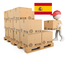 PALETA NIETYPOWA NTP HISZPANIA