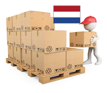 PALETA NIETYPOWA NTP HOLANDIA