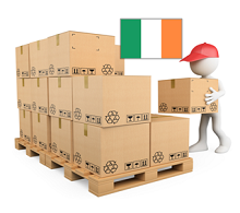 PALETA NIETYPOWA NTP IRLANDIA