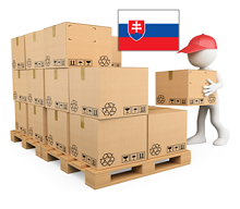 PALETA NIETYPOWA NTP SŁOWACJA