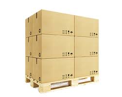 STANDARD LOKALNY PALETOWY