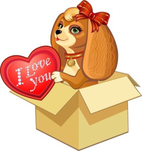 EXPRESS KRAJOWY PACZKA