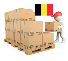 PALETA NIETYPOWA NTP BELGIA