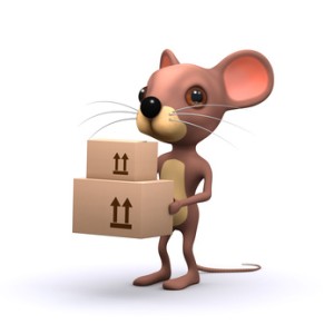 GLS EURO BUSINESS.UE PARCEL DO 3 KG